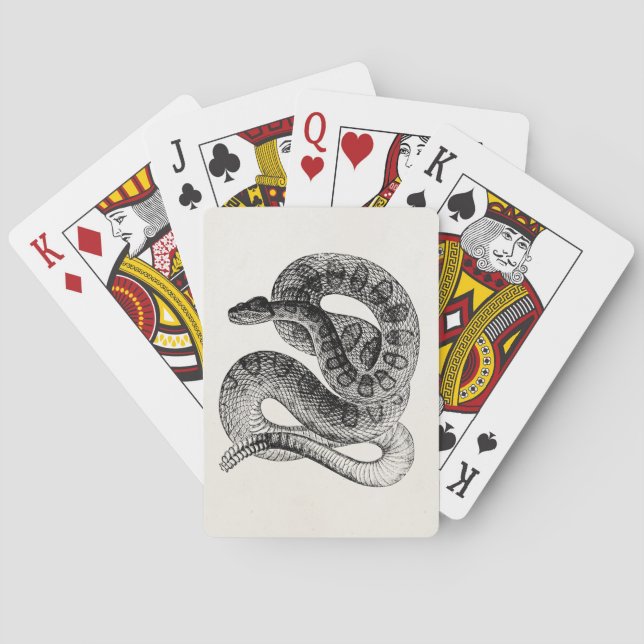 Vintage Rattlesnake Reptile Snake Template Playing Cards (Back)