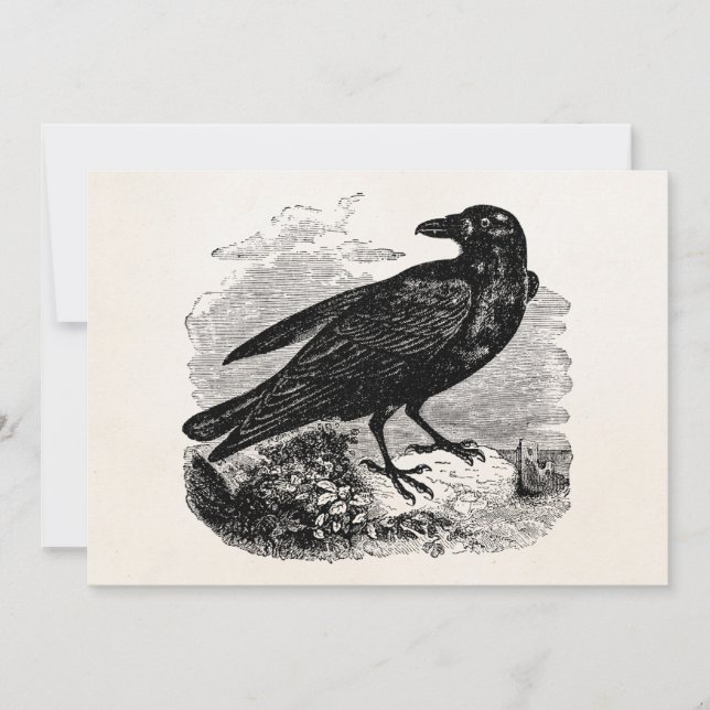 Vintage Raven Black Bird Crow Personalised Birds (Front)