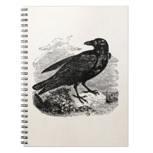 Vintage Raven Black Bird Crow Personalised Birds Spiral Notebook