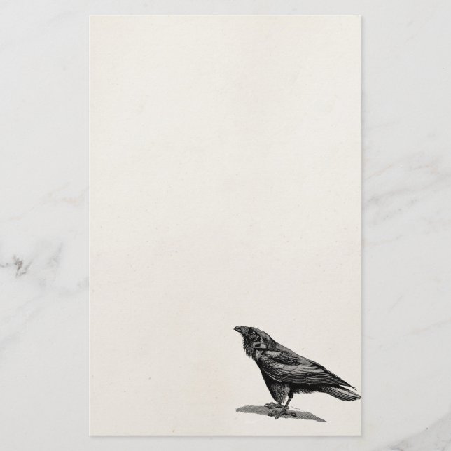 Vintage Raven Crow Blackbird Bird Illustration Stationery (Front)