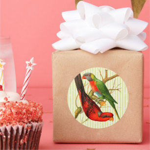 Vintage Red and Green Parrots on Bambo Background Classic Round Sticker