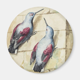 Vintage Red and Grey Bird Watercolor Art Magnet