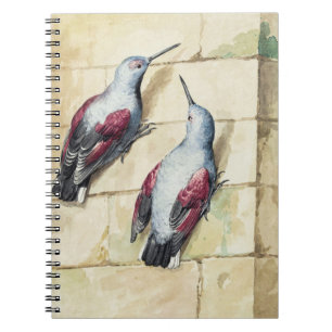 Vintage Red and Grey Bird Watercolor Art Notebook