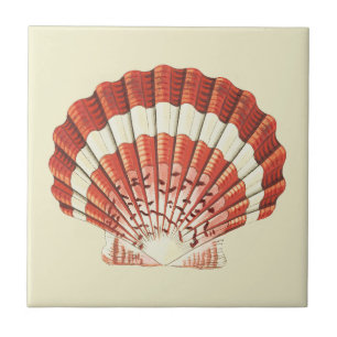 Vintage Red and White Scallop Shell Nautical Art Tile