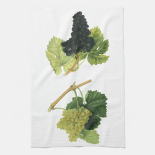 Vintage Red and White Wine Grapes on a Vine, Fruit Tea Towel