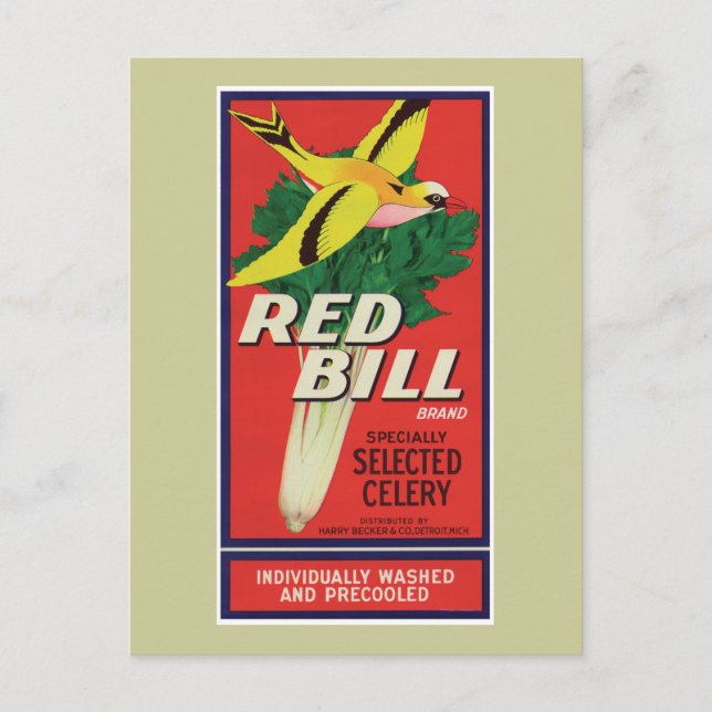 Vintage Red Bill Celery Label Postcard (Front)