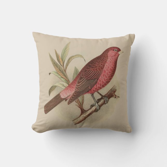 Vintage Red Bird on Branch Pillow (Front)