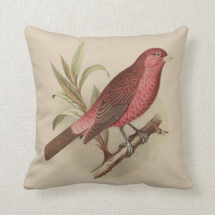 Vintage Red Bird on Branch Pillow