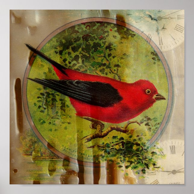 Vintage Red Bird Poster (Front)
