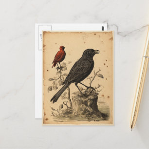 Vintage Red Bird & Raven Postcard
