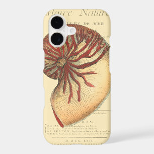 Vintage Red Conch Shell