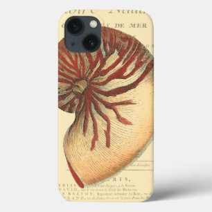 Vintage Red Conch Shell iPhone 13 Case