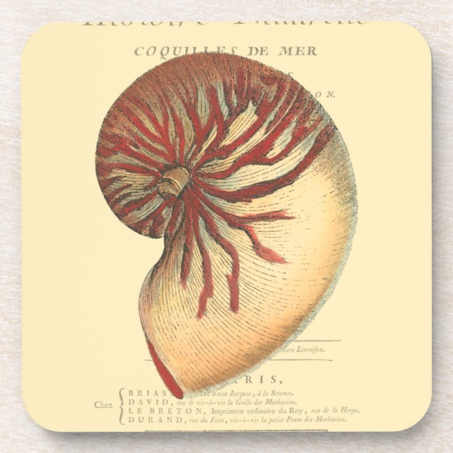 Vintage Red Conch Shell Coaster (Front)
