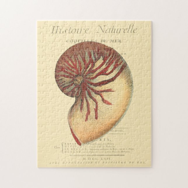Vintage Red Conch Shell Jigsaw Puzzle (Vertical)