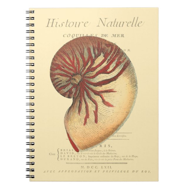 Vintage Red Conch Shell Spiral Notebook (Front)