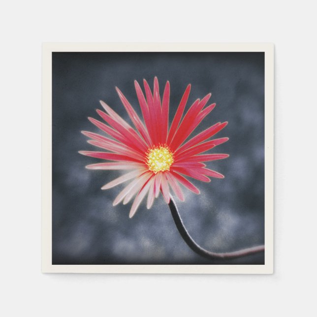 Vintage Red Daisy Flowers Napkin (Front)