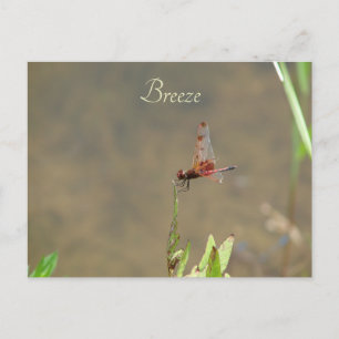 Vintage Red Dragonfly Custom Botanical Note Postcard
