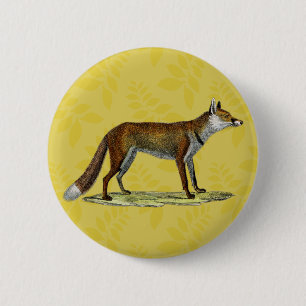 Vintage Red Fox 6 Cm Round Badge