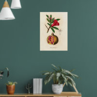 Vintage Red Fruit Pomegranate And Flower Art