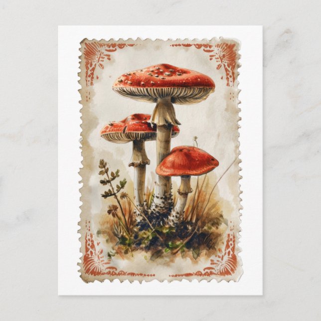 Vintage Red Mushroom Postcard (Front)