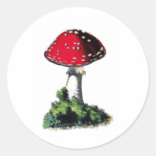 Vintage Red Mushroom  Print Classic Round Sticker