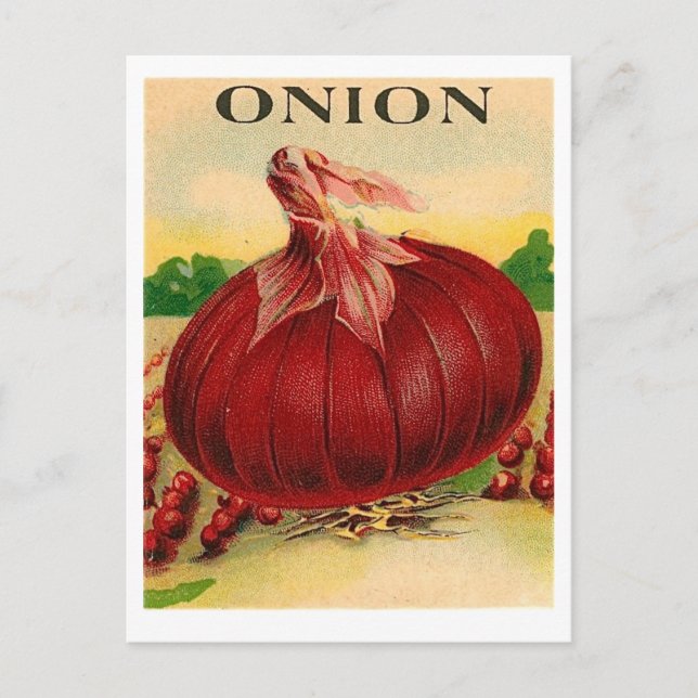 vintage red onion seed packet postcard (Front)