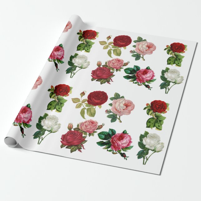 Vintage Red Pink and White Rose Wrapping Paper (Unrolled)
