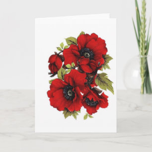 Vintage Red Poppies, Card
