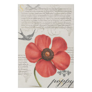 Vintage Red Poppy Drawing + Victorian Typography Faux Canvas Print