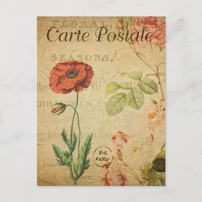 Vintage Red Poppy Flower Floral French Postcard (Front)