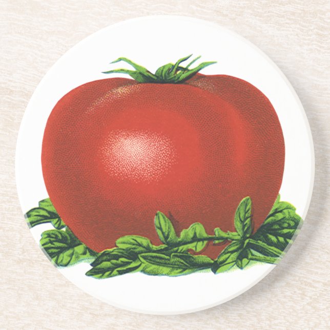 Vintage Red Ripe Tomato, Vegetables and Fruits Coaster (Front)
