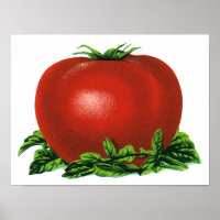 Vintage Red Ripe Tomato, Vegetables and Fruits