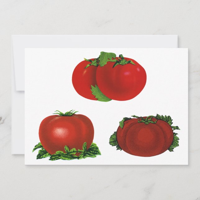 Vintage Red Ripe Tomatoes Food, Fruits, Vegetables (Front)