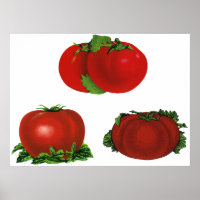 Vintage Red Ripe Tomatoes Food, Fruits, Vegetables