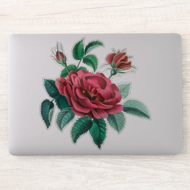 Vintage Red Rose (Computer)