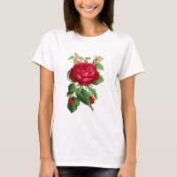 Vintage Red Rose and Ladybugs 