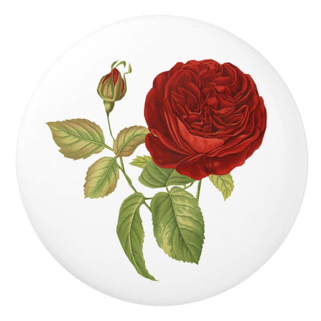 Vintage Red Rose Botanical Ceramic Knob (Front)