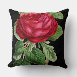 Vintage Red Rose Cushion