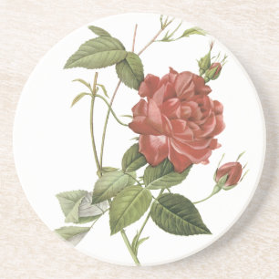 Vintage Red Rose Drink Coaster