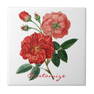 Vintage Red Rose Illustration Thunder_Cove Tile