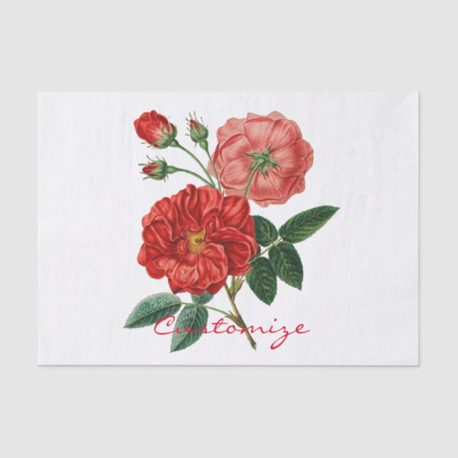 Vintage Red Rose Illustration Thunder_Cove Tissue Paper (Front)