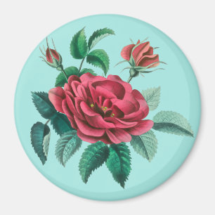 Vintage Red Rose Magnet