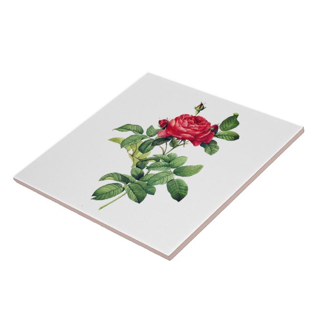 Vintage Red Rose Tile (Side)