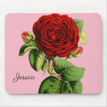 Vintage Red Rose with Your Name