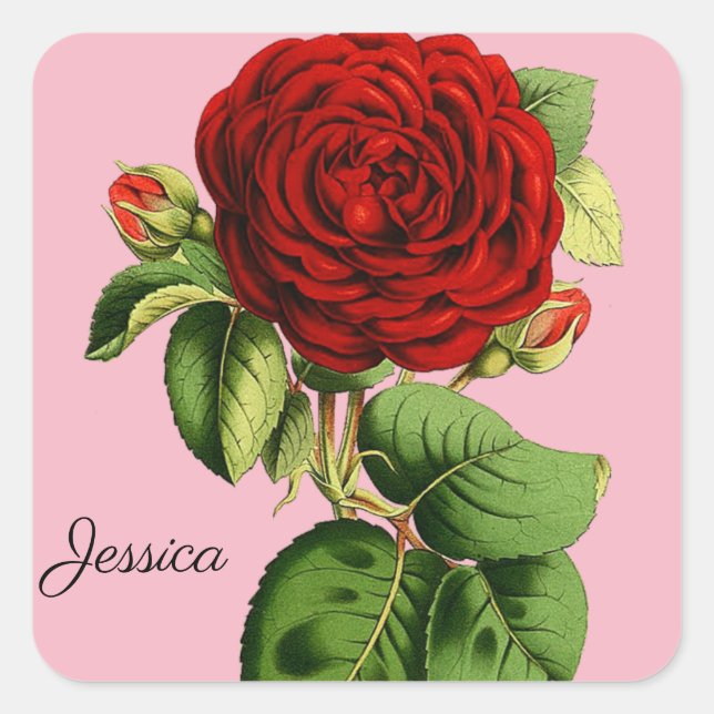 Vintage Red Rose with Your Name Square Sticker (Front)