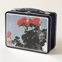 Vintage Red Roses Against a Blue Sky