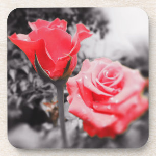 Vintage Red Roses Coaster
