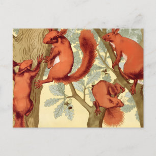 Vintage red squirrels nature fall Verneuil art Postcard