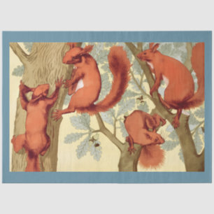 Vintage red squirrels nature illustration tissue paper