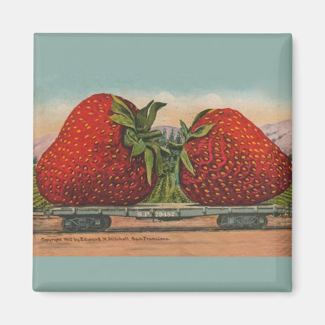 Vintage Red Strawberries Fresh Fruit Magnet (Front)